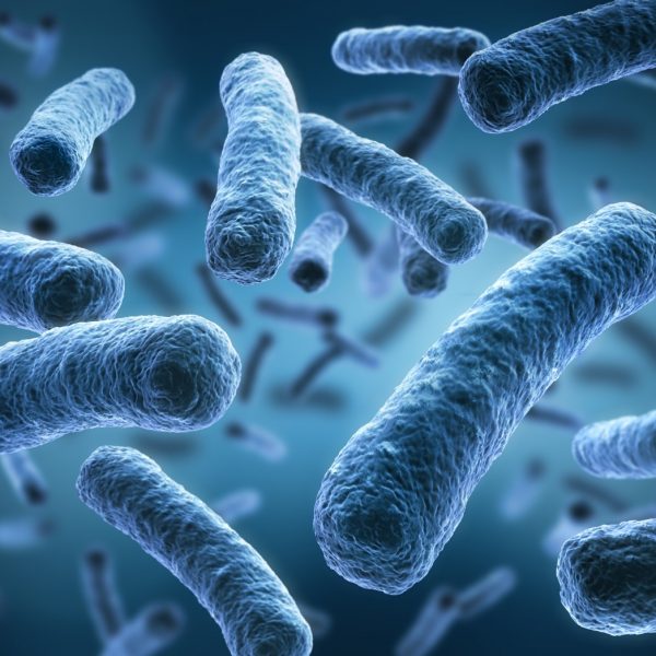 Legionella,Pneumophila,-,Medical,3d,Illustration